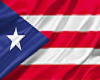 custom flag for lisette