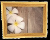 Beachfront Cottage Art