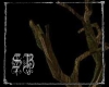 sb dead forest tree II