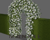 Wedding Bundle Green