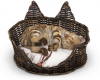Cabin Kitty In Basket