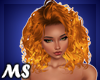 MS Luna Sunset Gold