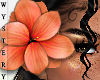 ⓦ CASTAWAY Flower 2