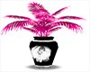 Hot Pink Black Vase