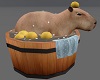 capybara bath ♡