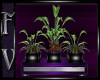~F~Purple Planter