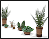 Home Plants V1 ~