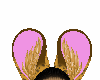 andro hyena ears