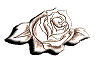 [DS]Rose18