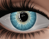 Blue Eyes