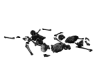 bone scatter
