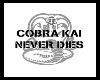Cobra Kai Cobra Frame