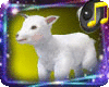White Baby Lamb Pet