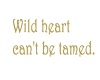 Wild Heart Cant Be Tamed