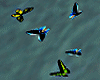 !FlyingBirdwingBtrflies2