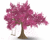 Flowering Cherrry Tree