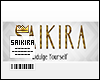 SaiKira/Artistree Banner