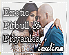 Priyanka&Pitbull-Exotic