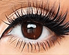 Realistic Brown Eyes