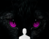 Pink eye black cat