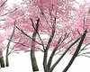 pink trees