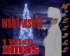 1 Wish