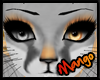 -DM- Gray Fox Eyes F/M