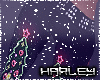 ! XMAS Neon Flares A RL
