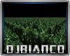 GRASS HD DJ LIGHT