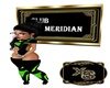 Club Meridian DJ