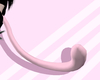 ♡ pink cat tail (M/F)