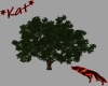 *Kat* Large Oak Tree