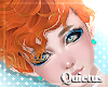 Wave Ginger - Q