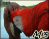 M3 Parrot sticker