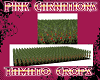 Tomato Crops