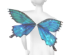 Glow Blue Wings