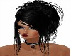 Miss Dede Collar