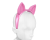 Pink Bat Ears