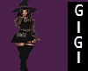 GM  Witch full fit
