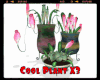 *Cool Plant X3
