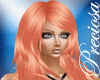 ~P~Fabrie Ginger