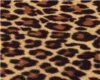 [BGD] leopard rug