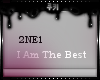 *2NE1-I Am The BEST