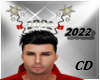 CD Crown 2022 Animated M