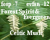 Forest  Spirit