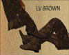 (CB) LV Brown Shoes