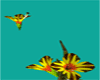 flying flower