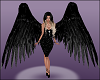 Black Angel Wings M/F