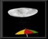[xo]umbrella & ani. rain