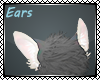 Kae ears